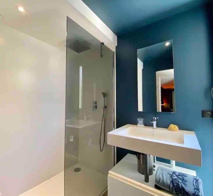Maison D Architecte Bruges/piscine Chauffee/tram D Villa *