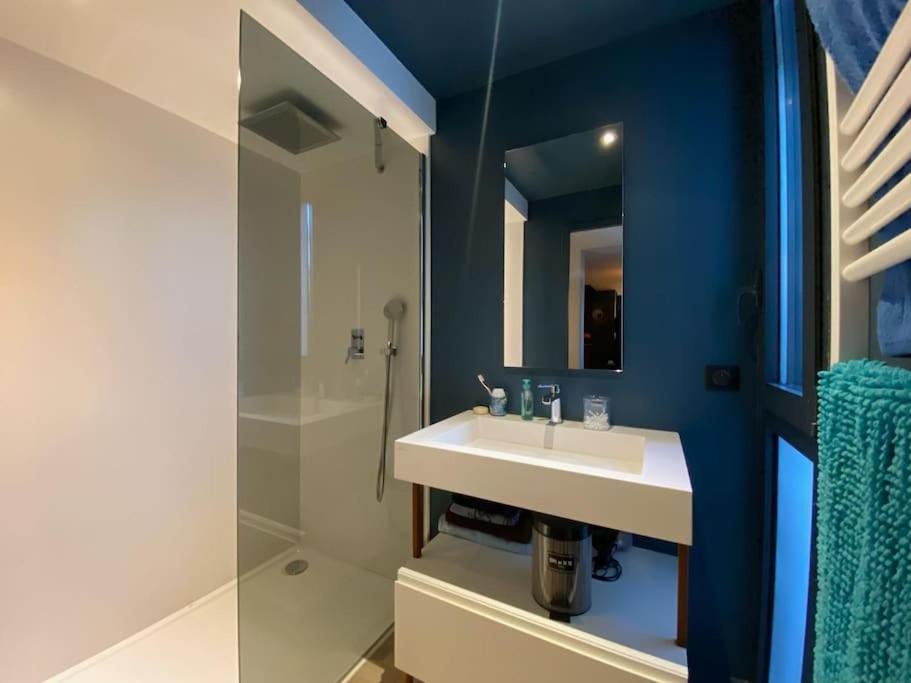 Maison D Architecte Bruges/piscine Chauffee/tram D Villa *